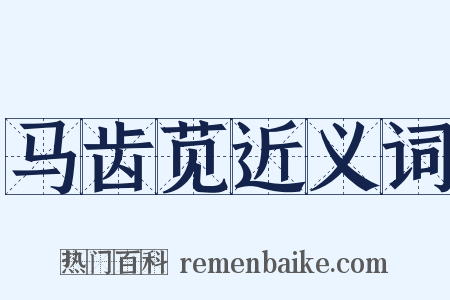 马齿苋近义词是什么意思的图片